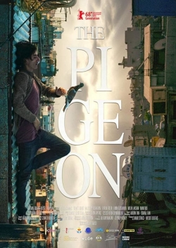 Watch The Pigeon movies free Anix