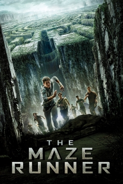 Watch The Maze Runner movies free Anix