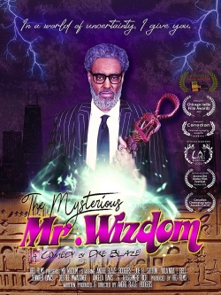 Watch The Mysterious Mr. Wizdom movies free Anix