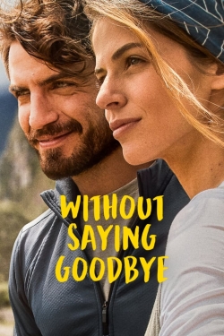 Watch Without Saying Goodbye movies free Anix