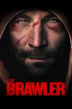 Watch The Brawler movies free Anix