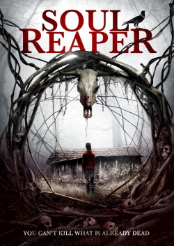 Watch Soul Reaper movies free Anix