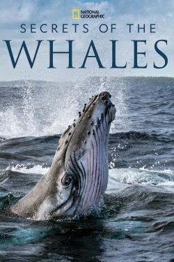 Watch Secrets of the Whales movies free Anix