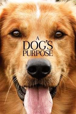 Watch A Dog's Purpose movies free Anix