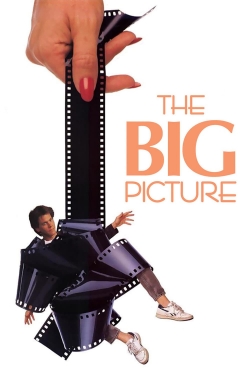 Watch The Big Picture movies free Anix