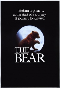 Watch The Bear movies free Anix